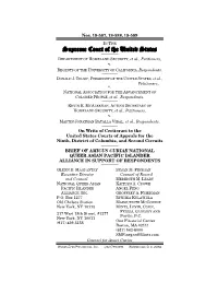 Amicus Brief