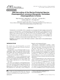 DNA Barcoding of the Marine Protected Species Chasmagnathus Convexus (Decapoda: Varunidae: Chasmagnathus) in Korea