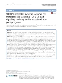 SHCBP1 Promotes Synovial Sarcoma Cell Metastasis Via Targeting TGF-Β1