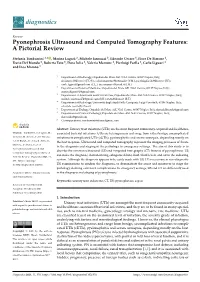 Pyonephrosis Ultrasound and Computed Tomography Features: a Pictorial Review