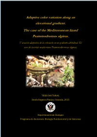 Adaptive Color Variation Along an Elevational Gradient. the Case of the Mediterranean Lizard Psammodromus Algirus. Universidad De Granada, Spain