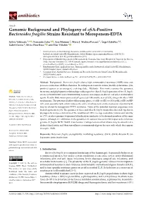 Genomic Background and Phylogeny of Cfia-Positive Bacteroides Fragilis