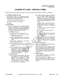 Causes of Loss – Special Form