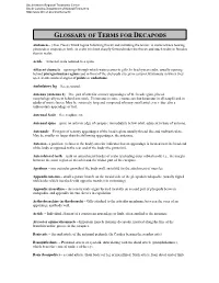 Glossary of Terms for Decapods