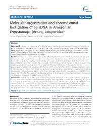 Molecular Organization and Chromosomal