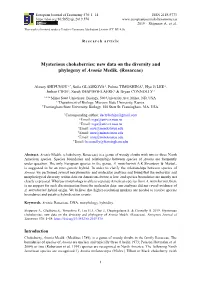 Mysterious Chokeberries: New Data on the Diversity and Phylogeny of Aronia Medik. (Rosaceae)
