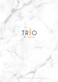 Trio-Block-Anb.Pdf