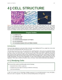 Chapter 4 – Cell Structure