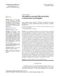 Phytophthoraroot and Collar Rots in Fruit Orchards in the Czech Republic