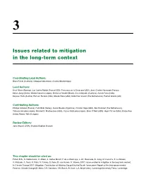 Issues Related to Mitigation in the Long-Term Context