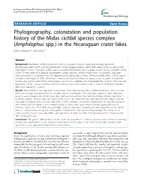 Phylogeography, Colonization and Population History of the Midas