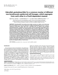 Full Text (PDF)