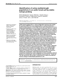 Identification of Active Methylotroph Populations in an Acidic Forest Soil