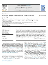 Association Between Puppy Classes and Adulthood Behavior of the Dog