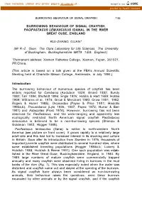 Burrowing Behaviour of Signal Crayfish 1 55