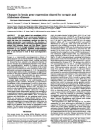 Changes in Brain Gene Expression Shared by Scrapie and Alzheimer