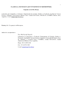 Classical and Molecular Cytogenetics in Heteroptera
