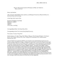 Computer-Aided Identification, Synthesis, and Biological Evaluation of Novel Inhibitors for Botulinum Neurotoxin Serotype