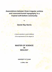 Associations Between Three Irregular Urchins and Cone-And-Funnel Topography in a Tropical Soft-Bottom Community Daniel Ray Norri