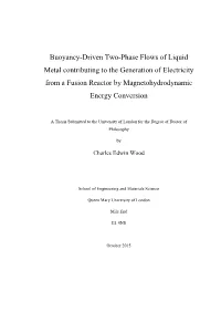 Buoyancy-Driven Two-Phase Flows of Liquid Metal Contributing to the Generation of Electricity from a Fusion Reactor by Magnetohydrodynamic Energy Conversion