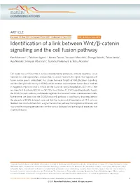 Identification of a Link Between Wnt/Β-Catenin Signalling and the Cell