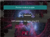 Proton Radius Puzzle