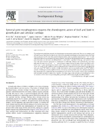 Synovial Joint Morphogenesis Requires the Chondrogenic Action of Sox5 and Sox6 in Growth Plate and Articular Cartilage