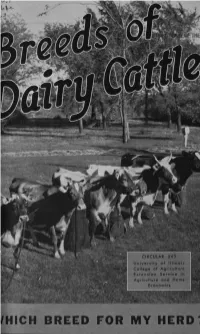 Breeds of Dairy Cattle