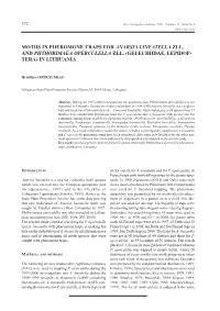 Moths in Pheromone Traps for Anarsia Lineatella Zll