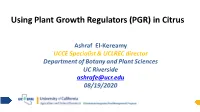Using Plant Growth Regulators (PGR) in Citrus