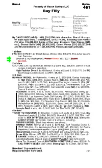 461 Bay Filly
