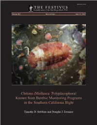 Chitons (Mollusca: Polyplacophora) Known from Benthic Monitoring Programs in the Southern California Bight