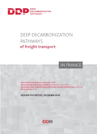 Deep Decarbonization Pathways of Freight Transport in France, Descriptive Report, IDDRI