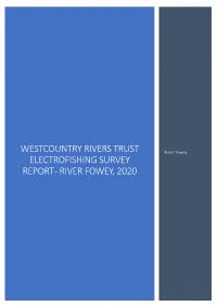 Fowey EF Report 2020