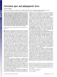 Terrestrial Apes and Phylogenetic Trees
