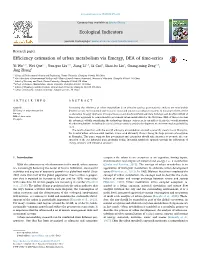 Efficiency Estimation of Urban Metabolism Via Emergy, DEA Of
