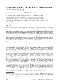 Effect of Kaolinite and Ca-Montmorillonite on the Alleviation of Soil Water Repellency