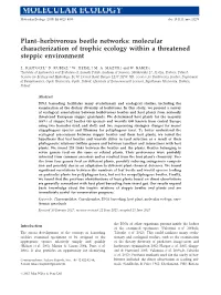 Herbivorous Beetle Networks: Molecular Characterization of Trophic Ecology Within a Threatened Steppic Environment