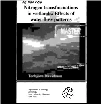 Nitrogen Transformations in Wetlands: Effects of Water Flow Patterns