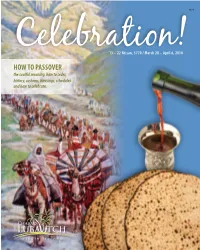 How to Passover the Soulful Meaning, How to Seder, History, Customs, Blessings, Schedules and How to Celebrate