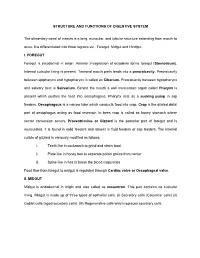 STRUCTURE and FUNCTIONS of DIGESTIVE SYSTEM The