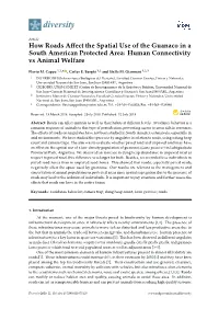 How Roads Affect the Spatial Use of the Guanaco In