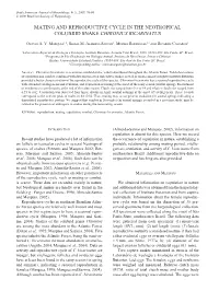 Mating and Reproductive Cycle in the Neotropical Colubrid Snake Chironius Bicarinatus