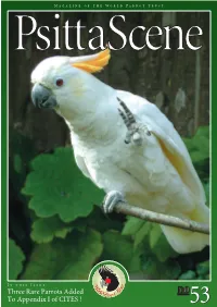Three Rare Parrots Added to Appendix I of CITES !