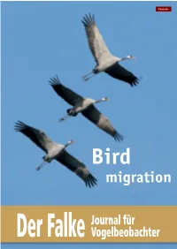 Bird Migration Dear Readers