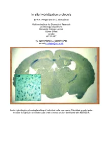In Situ Hybridization Protocols