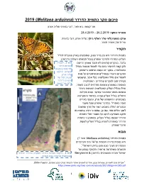 2019 ) ( כתמית הדרדר סיכום סקר Melitaea Arduinna