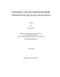 Bioinformatic Analysis of Chicken Chemokines