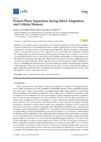 Protein Phase Separation During Stress Adaptation and Cellular Memory