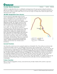 SR 906: Snoqualmie Pass Access Corridor Sketch Summary